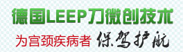 德國LEEP刀微創技術
